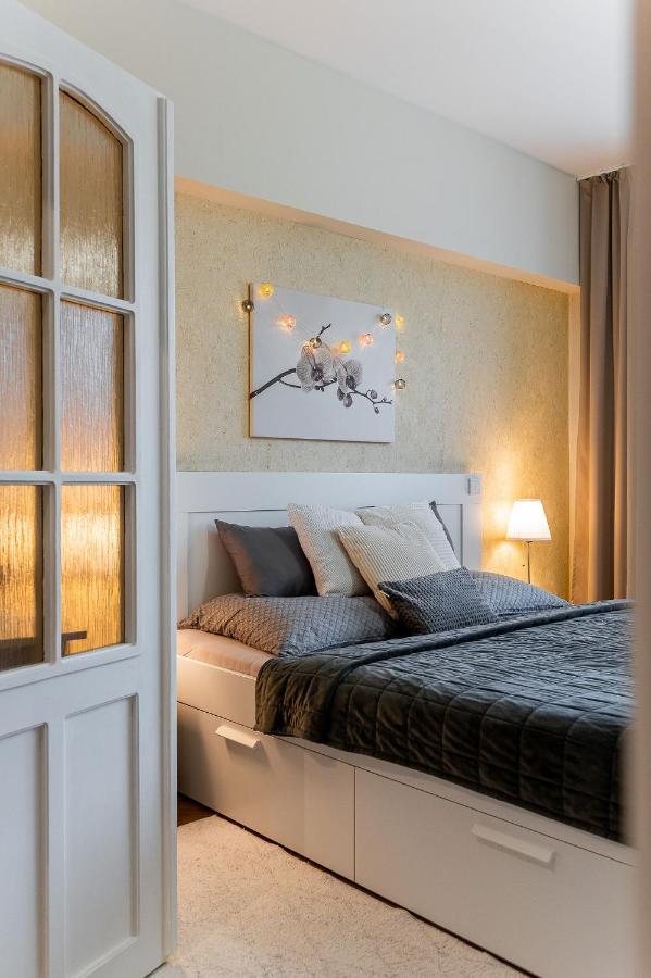 Old Town Vintage Apartment Sturova 科希策 外观 照片