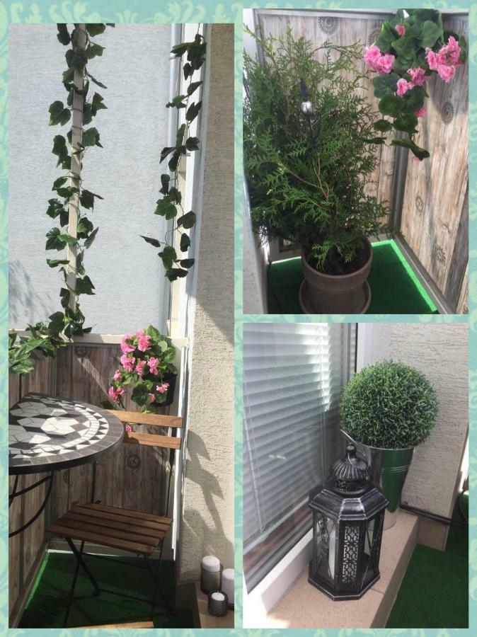 Old Town Vintage Apartment Sturova 科希策 外观 照片