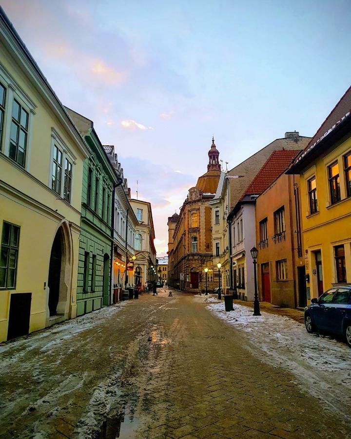 Old Town Vintage Apartment Sturova 科希策 外观 照片